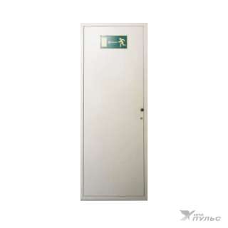Дверь техническая ДТ