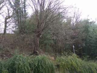 Участок в сочи