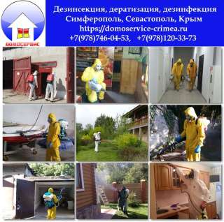 Домосервис. Дезинсекция, дератизация, дезинфекция Симферополь, Севастополь, Крым.