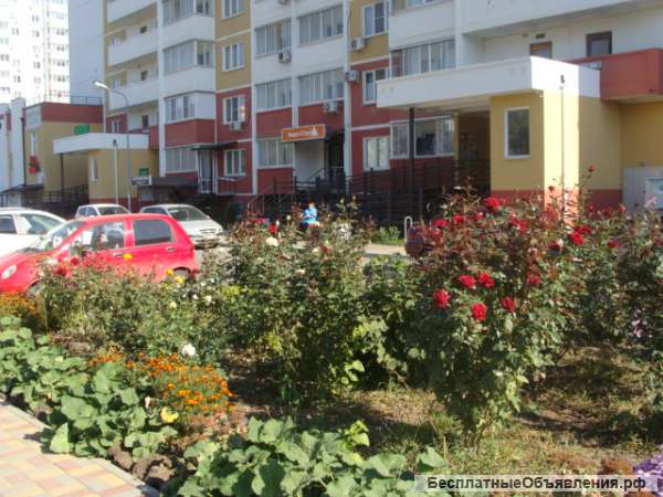 ККБ, Черкасская, 42/20/10