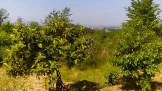 Дом 70 м2 Сочи. Адлерский р-н. ул.Черновицкая