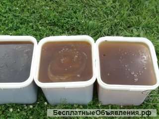 Мед оптом 2018 от 100 кг