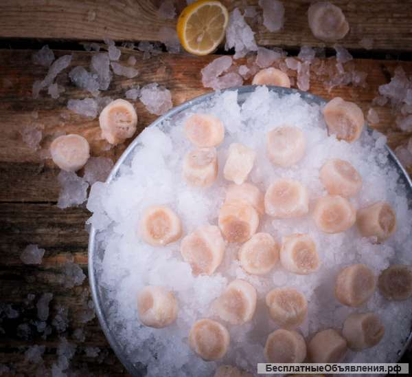 Дикие морепродукты и рыба Российских морей