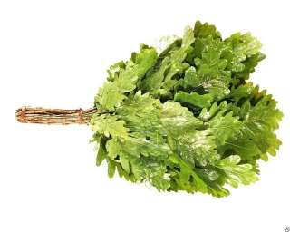 Веники банные Дубовые