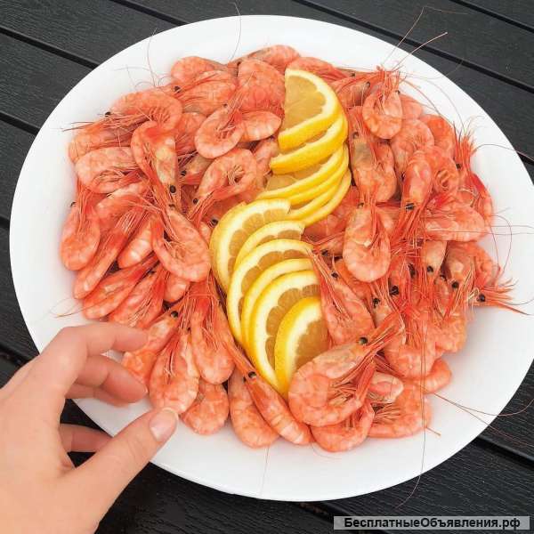 Креветки углохвостые