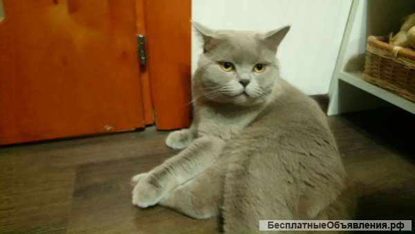 Вязка