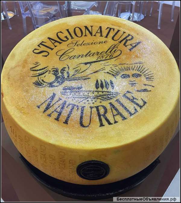 Сыр Parmigiano Reggiano (Пармиджано Реджано)