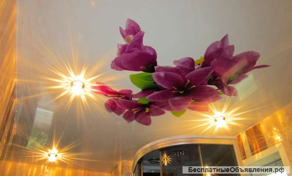 Натяжные потолки без шва до 5,5 метров