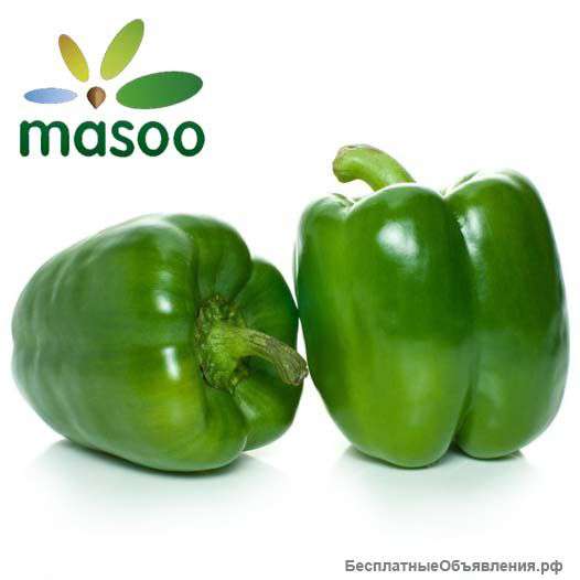 Зеленый перец из Китая (оптом)