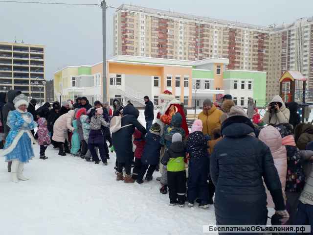 Дед Мороз и Снегурочка на дом, школу, сад, ресторан, корпоратив, заказать