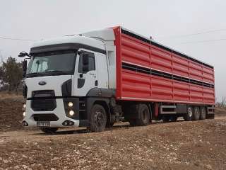 Скотовоз стальной GuteWolf