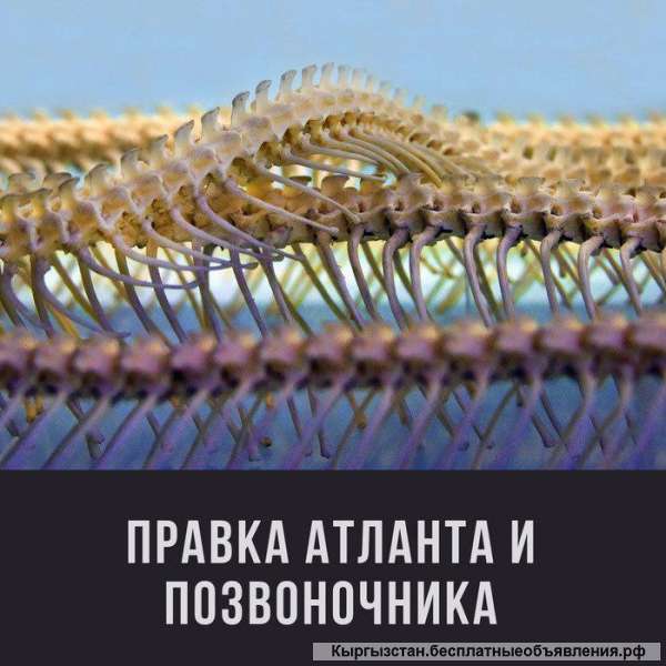 Правка атлант и позвоночника с гарантией результата