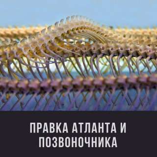 Правка атлант и позвоночника с гарантией результата