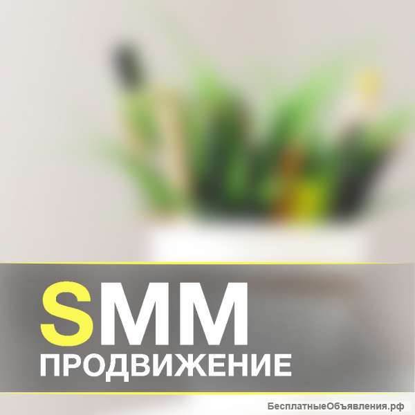SEO продвижение сайтов | SEO аудит сайта