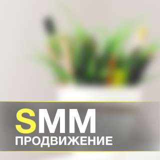 SEO продвижение сайтов | SEO аудит сайта