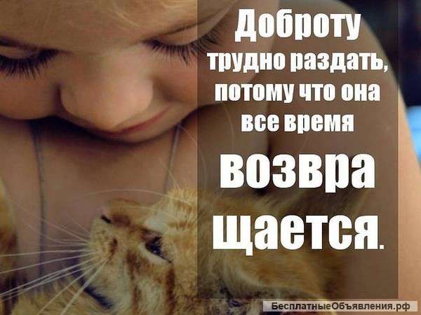 Просим помощи с детьми