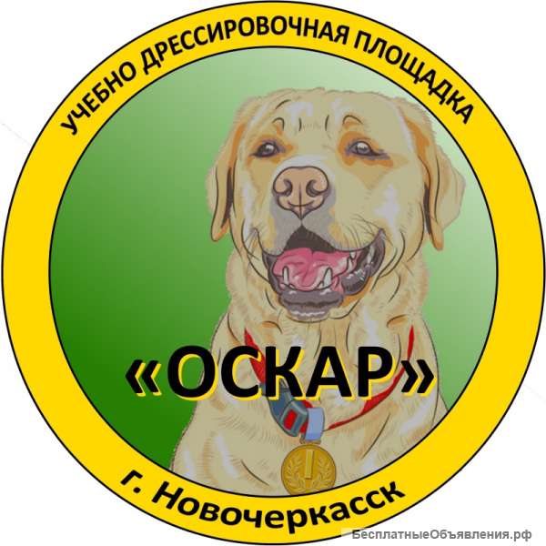 Дрессировка собак в Новочеркасске