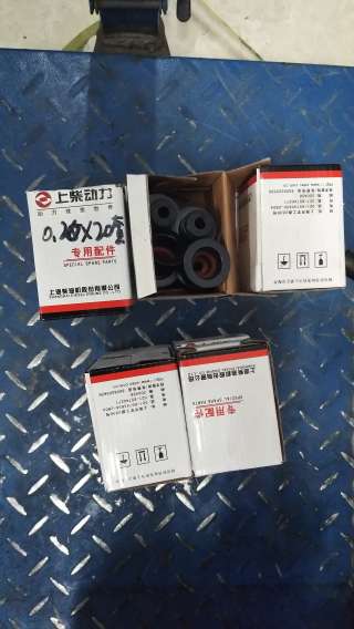 Колпачки масло съёмные Двигатель Shanghai SC9D220G2B1