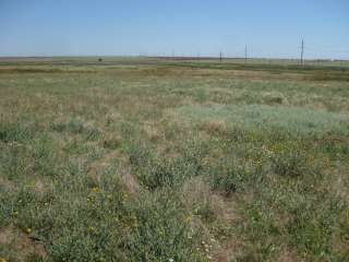 Земельный участок общей площадью в 700 кв.м.