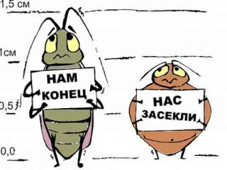Дезинфекция