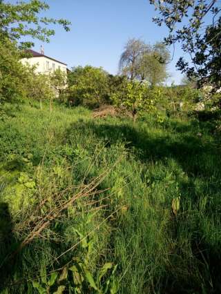 З/у 12/5 сот в Сочи.Адлерского р-на, ул.Cветогорская