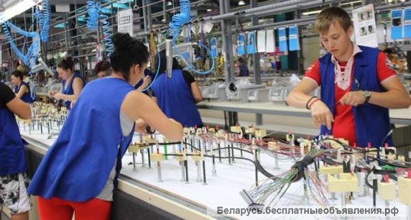 Работники на непищевое производство, на должность - Монтер кабельного производства