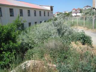 Земельный участок для ИЖС