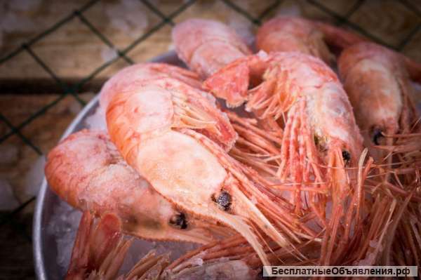 Дикая рыба и морепродукты с Охотского моря