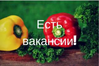 Приглашаем поваров