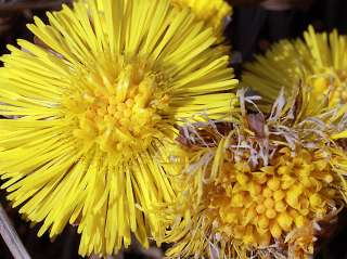 Математика (Алгебра, Геометрия), Физика, Информатика - в Зеленограде или дистанционно по Skype