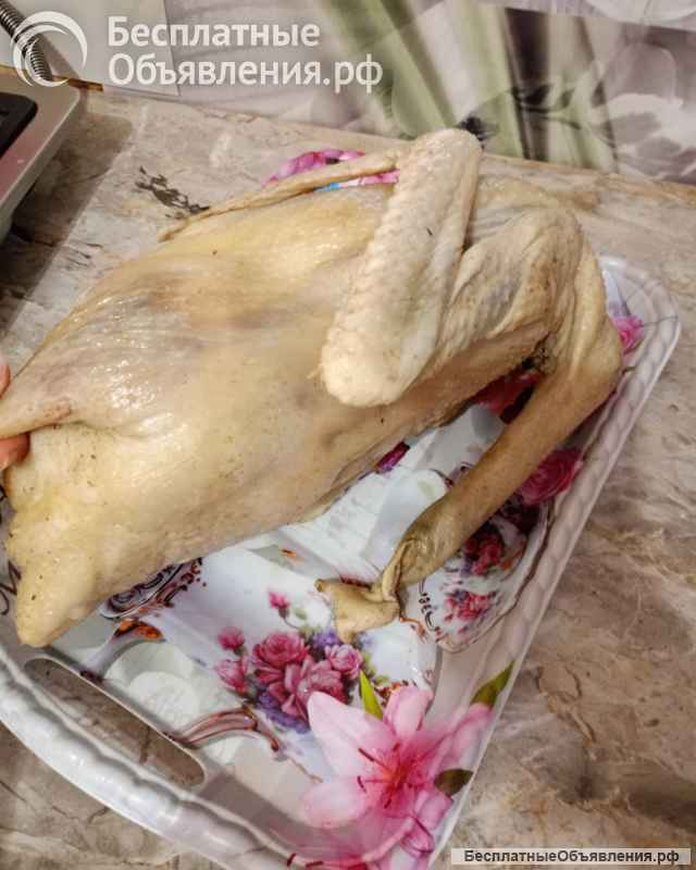 Гуси вяленные