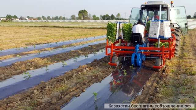 Рассадопосадочные машины Ferrari