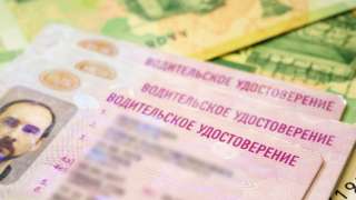 Помощь в получении В/У