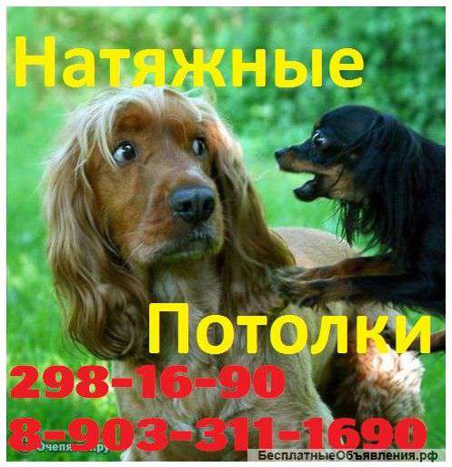 Сертифицированные натяжные потолки