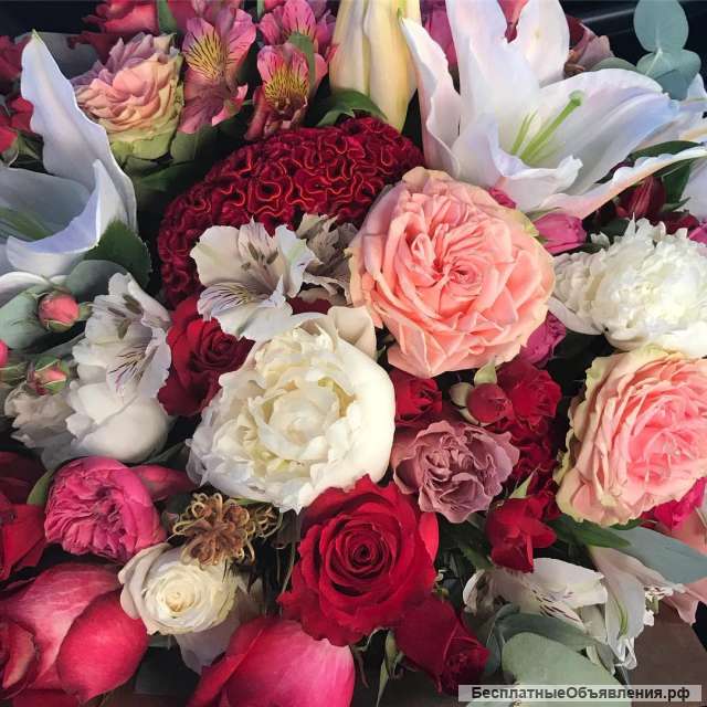 Курс Флористика для каждого