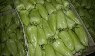 Болгарский перец оптом