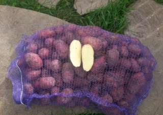 Картофель оптом