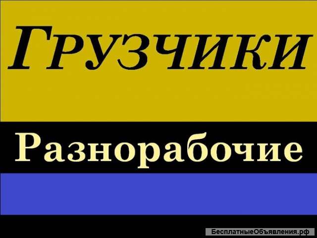 Грузчики и разнорабочие