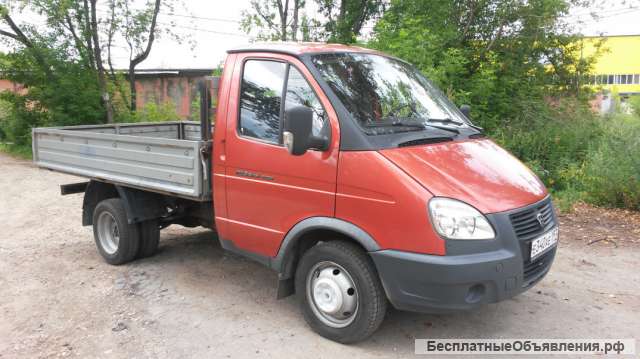 Газель катюша