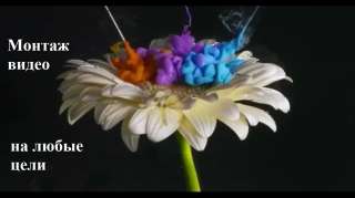 Монтаж и создание видео на любые цели