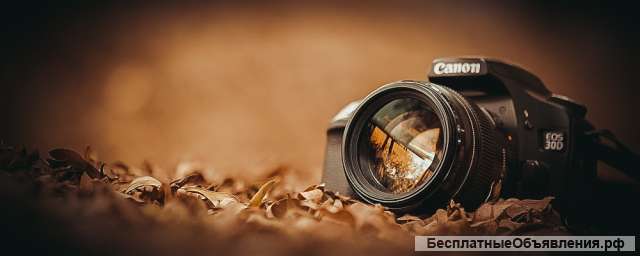 Выездной фотограф Москва и Мо