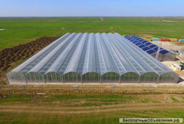 Изготовим промышленные теплицы под ключ