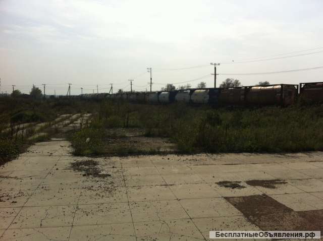 Участок для размещения портового терминала