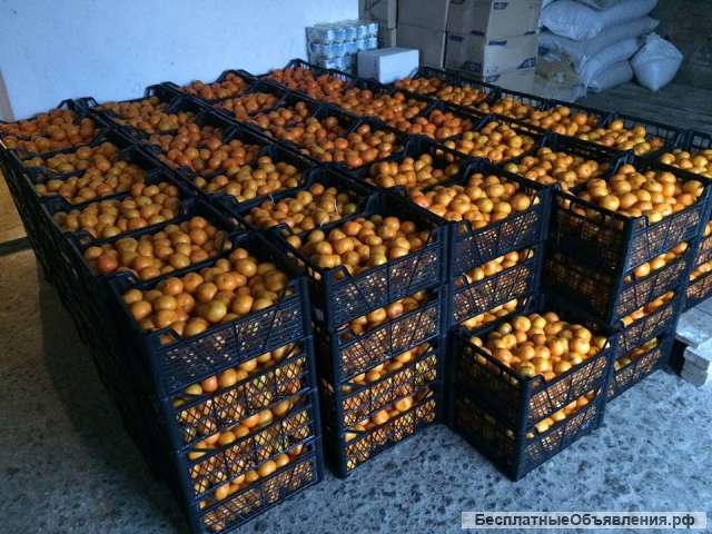 Мандарины оптом абхазские мелкий и крупный опт