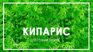 Требуются сотрудники. продавцы-консультанты