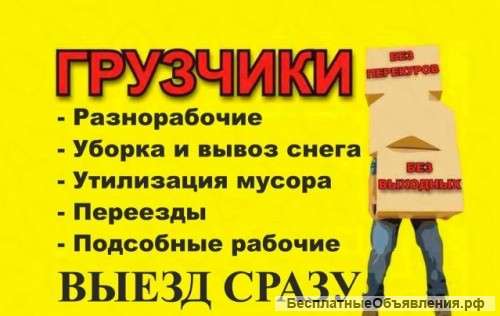 Грузчики Разнорабочие Москва и область