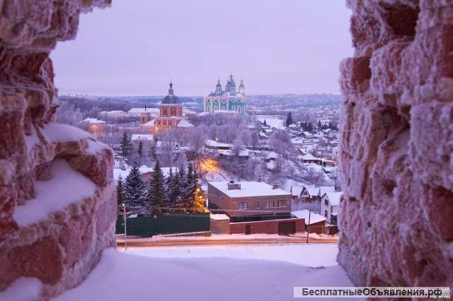 Экскурсии на новогодние каникулы по Смоленску от доктора исторических наук