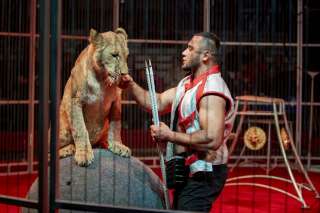 Легендарный ЦИРК Юрия Никулина в Феодосии