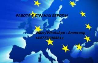 Трудоустройство в странах европы