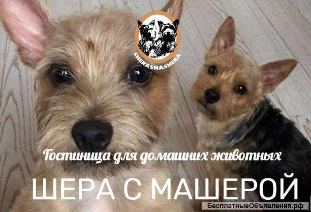 Гостиница для домашних животных